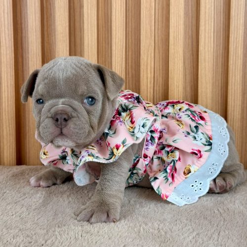 Rosie,