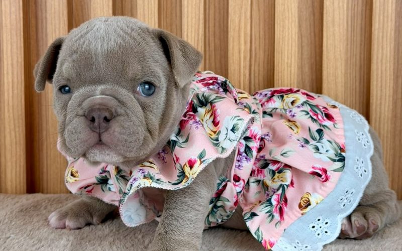 Rosie,